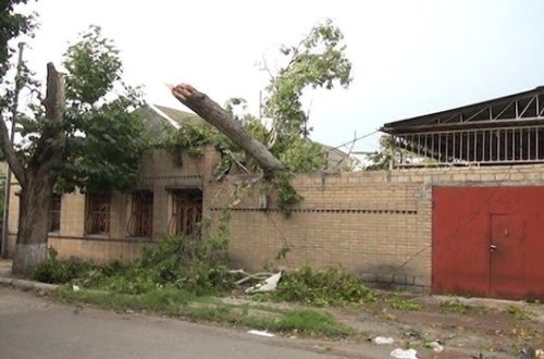 Gəncədə güclü külək ağacı evin üzərinə aşırdı - FOTO/VİDEO
