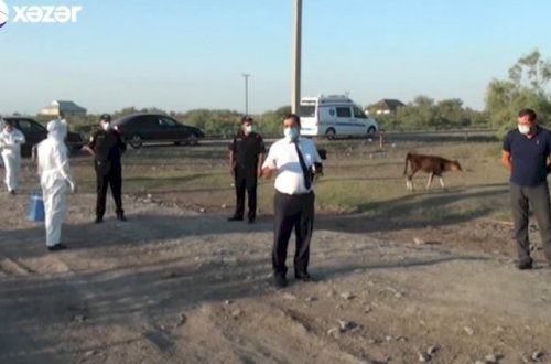 Koronavirusun sürətlə yayıldığı kənddə son vəziyyət - VİDEO