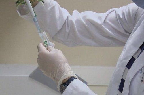 Türkiyənin COVID-19 peyvəndi insanlar üzərində test ediləcək