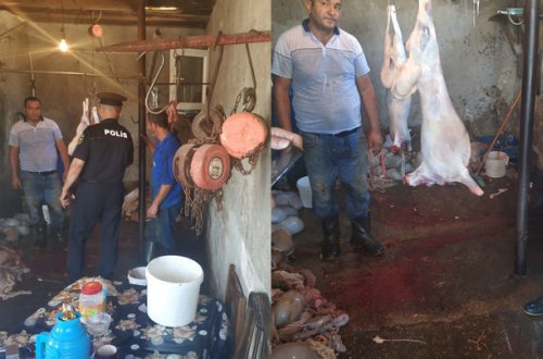 В абшеронском поселке выявлена незаконно функционирующая мясная лавка - ФОТО