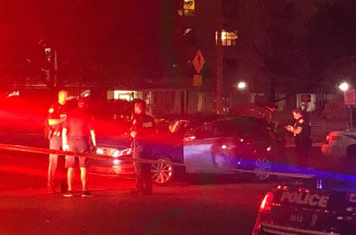 Kanadada qarşıdurma: Azərbaycanlılara xəsarət yetirən ermənilər saxlanıldı