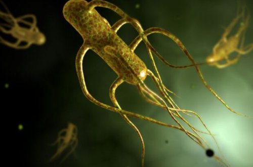 Koronavirusdan daha DƏHŞƏTLİ VİRUS GƏLİR: 72 saat…