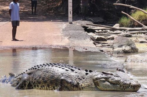 Qatil 50-yə yaxın insanı timsahlara yem edib