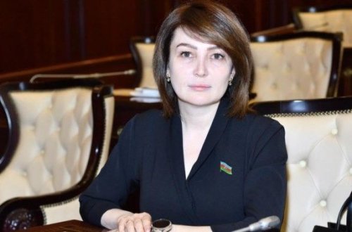 Vinq Çundan parlamentə... — Seçici Jalə Əhmədovanı tanıyırmı?