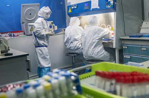 Rəsmən açıqlandı: Azərbaycanın bu hissəsində koronavirus yoxdur