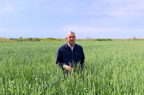 “Ayın fermeri” müsabiqəsinin qalibi müəyyənləşib