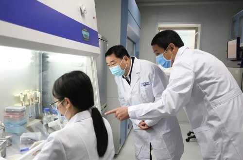 Çində daha bir təhlükəli epidemiya yayılır