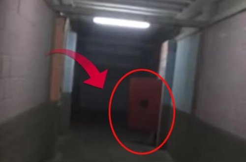 Morqa kamera qoydular   —  Qorxunc  görüntü  qeydə  alındı (18+VİDEO)