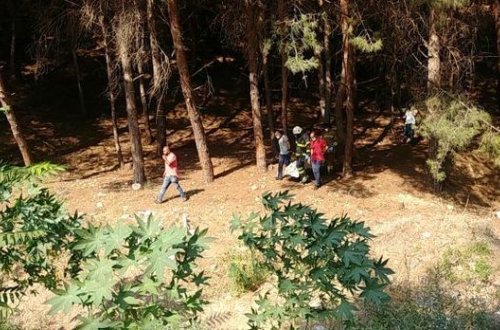 Ata və qızı ağacdan asılı vəziyyətdə tapıldı - VİDEO