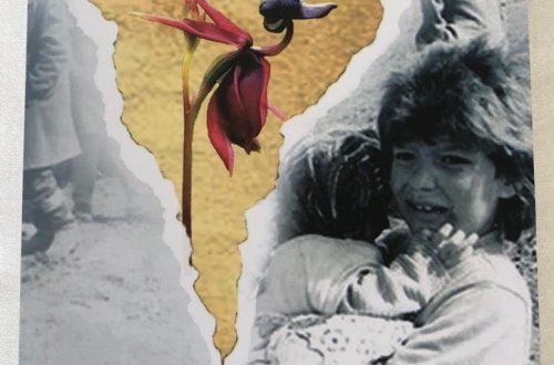 “İTİRDİYİM XOŞBƏXTLİK” (“Qarabağ hekayələri” silsiləsindən) özbəkcə nəşr olunub