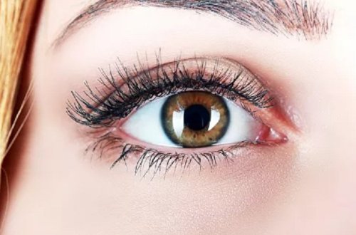 Врачи научились предугадывать скорую смерть пациента по глазам