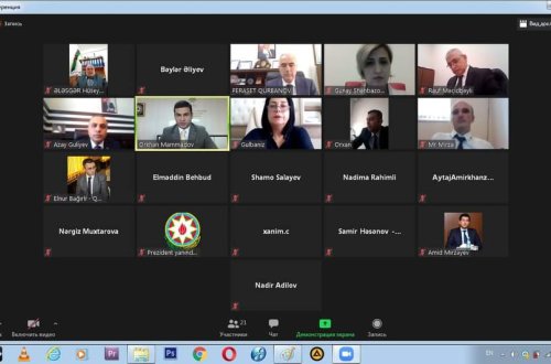 Şura və Agentlik qalib QHT-lərlə onlayn görüş keçirib