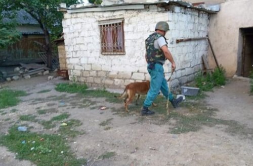 Tovuzda həyəcan siqnalı - Xüsusi çevik dəstə göndərildi - FOTO