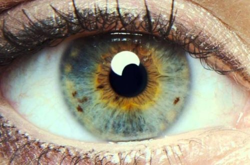 İnsanın öləcəyini gözlərdən bilmək olur