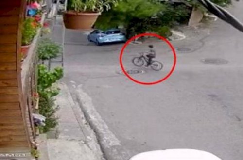 Velosipedli uşağın üzərinə ağac aşdı - ANBAAN VİDEO