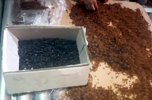 Kişmişin içərisində narkotik keçirmək istədi - Foto