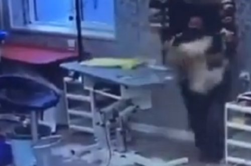 Nikol Paşinyanı öz sualları ilə mat qoyan Stiven Sakur kimdir? - DOSYE