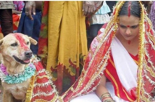 ŞOK TOY ADƏTLƏRİ: hamilə gəlin, heyvanla evlilik, ərini tapana kimi hər kəslə...