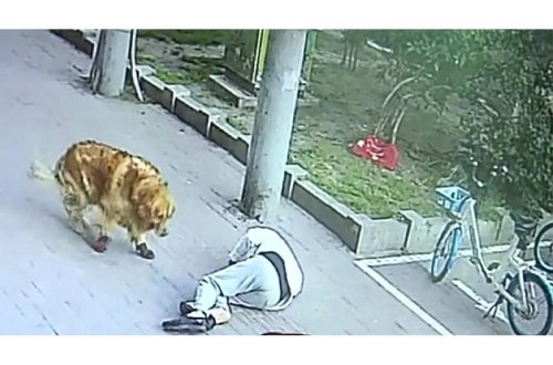 Başına pişik düşdü, 23 gün xəstəxanada yatdı - VİDEO