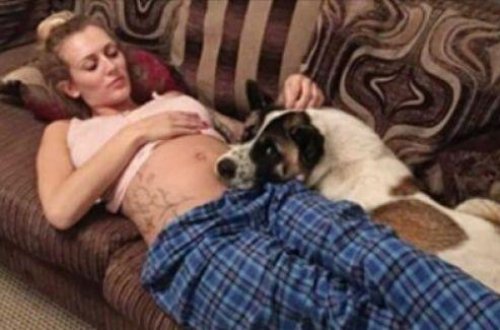 İt hamilə qadının qarnının yanından ayrılmırdı - Həkimlər müayinədə gördüklərinə inanmamışlar