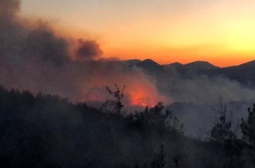 Türkiyədə dəhşətli meşə yanğını: 150 hektarlıq ərazi külə döndü, altı kənd boşaldıldı