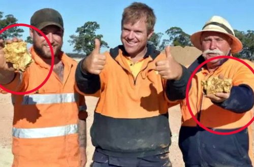 Xəzinə ovçuları 3,5 kq saf qızıl tapdılar - FOTO