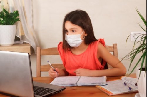 Təhsil naziri məktəblərlə bağlı qərar verdi: Dərslər onlayn olacaq