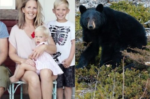 Atası ilə telefonla danışarkən ayı hücum edib parçaladı - FOTO