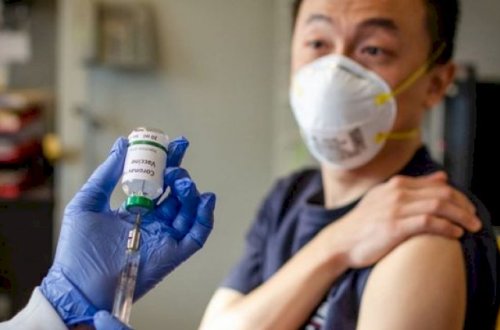 Koronavirusa qarşı həşərat hüceyrələrindən vaksin hazırlanıb