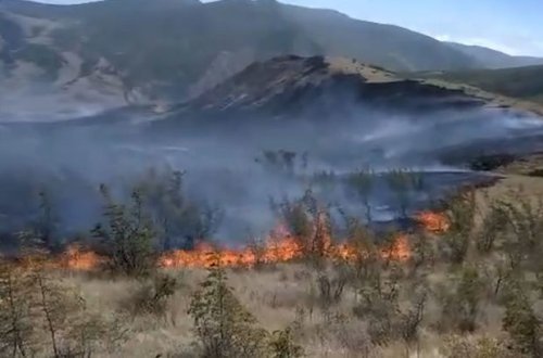 В горной местности Хызы начался пожар - ВИДЕО