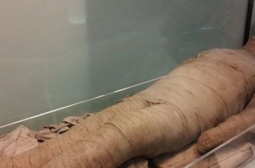 Россиянин год прожил с мумией матери