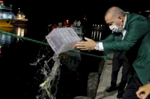 Ərdoğanın satdığı balığı 1,7 milyona aldılar