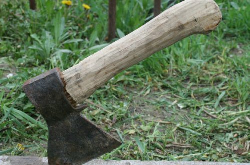 Telefona görə qardaşı qızının barmaqlarını baltaladı