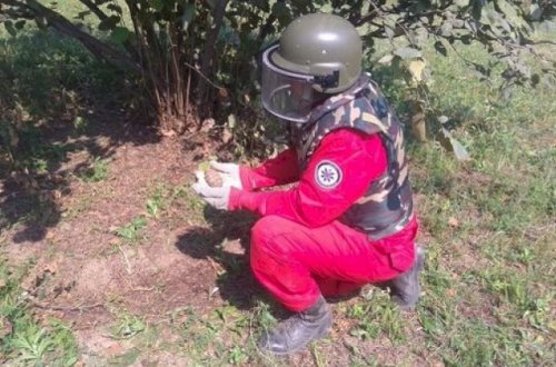 Fındıq bağında qumbara tapıldı - Foto