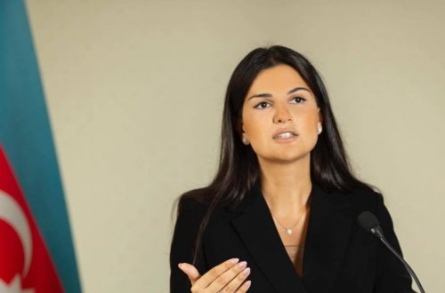 Mədəniyyət Nazirliyində bu xanıma vəzifə verildi - FOTO