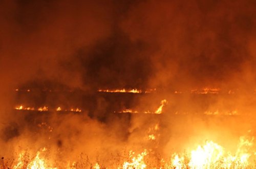 SON DƏQİQƏ: Ermənistan Tovuzla sərhəddə yanğın törədir