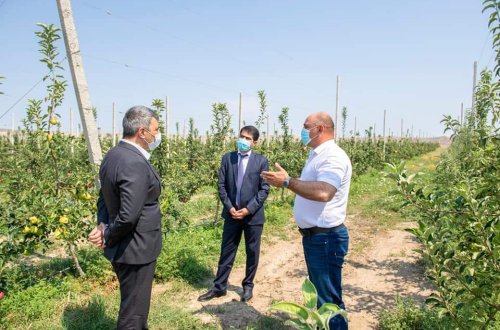 Nazir İnam Kərimov Ağstafa və Tovuz rayonlarında olub