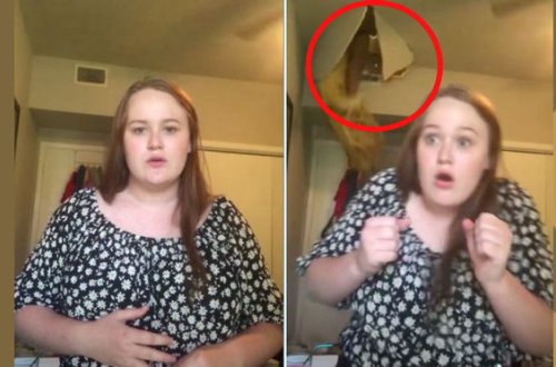 Qızı sosial şəbəkə üçün mahnı oxuyarkən anası tavandan düşdü – VİDEO