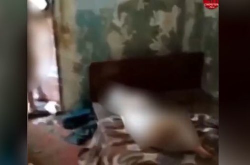 Обнаруженные в замусоренном доме российские дети-маугли попали на видео