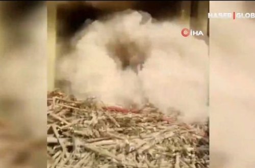 Alovu söndürməyə çalışan yanğınsöndürənlər bədbəxt hadisə ilə üzləşdilər - VİDEO