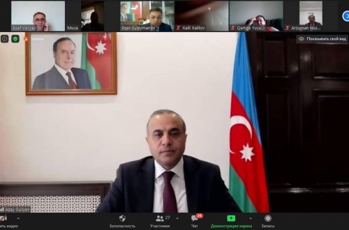 Azay Quliyev seçicilərlə videogörüş keçirib