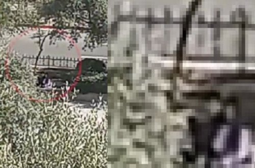 Bakıda qızla oğlan parkda görün nə etdilər... — Heç kimə fikir vermədilər və... / VİDEO