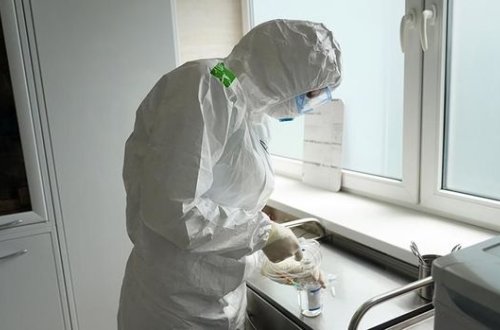 Препарат из бычьих легких в пять раз снизил смертность от COVID-19