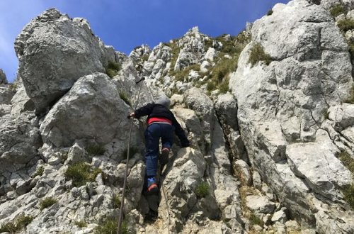 Qəbələdə beş nəfər dağda köməksiz qaldı