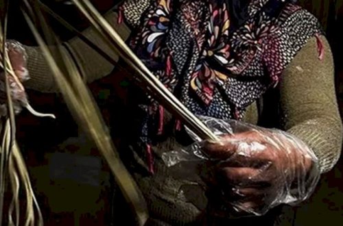 Əriştə kəsən 8 qadın koronavirusa yoluxdu