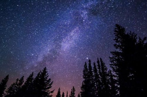 Ученые не исключили появления гибрида человека и пришельца