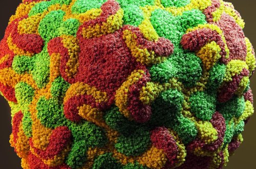 ŞOK: yeni qorxunc virus sürətlə yayılır - XEYLİ ŞƏXSƏ YOLUXDU