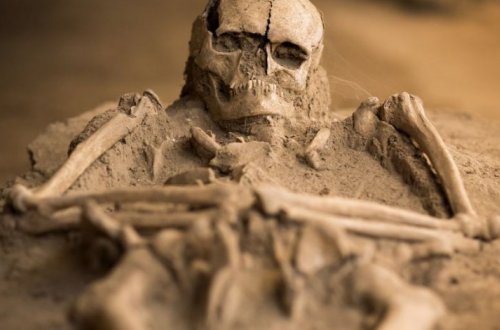 Идентифицировано найденное в Индии человекоподобное существо