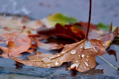 Завтра в Азербайджане местами будет дождливо