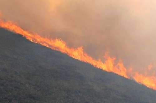 SON DƏQİQƏ: Azərbaycanda DƏHŞƏTLİ YANĞIN BAŞLADI